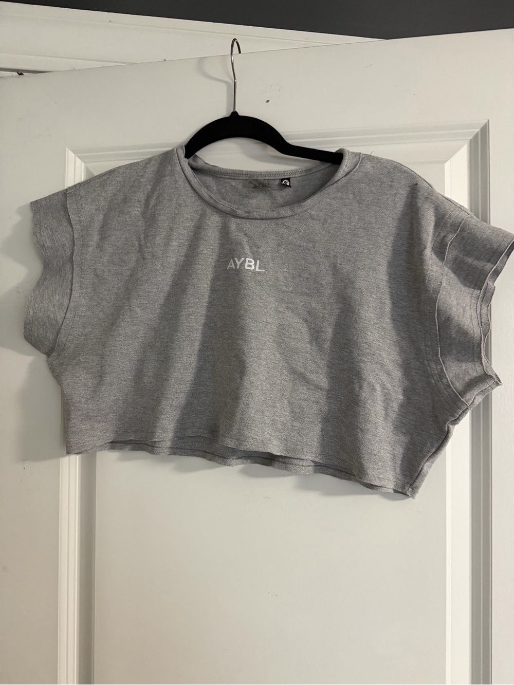 AYBL Light Gray Cropped Boxy Tee